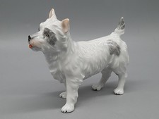 Carl Thieme Potschapel Terrier
