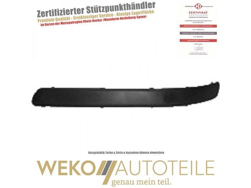 Stoßleiste vorne rechts für