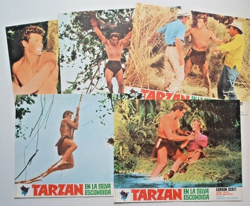 Aushangfotos tarzan und der - tarzan,