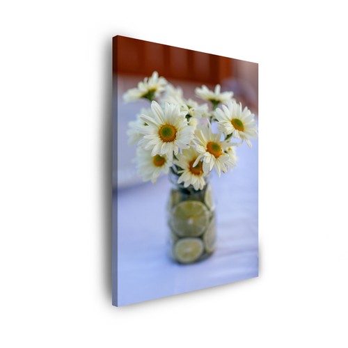 Leinwand bilder pflanzen - leinwand-bilder,