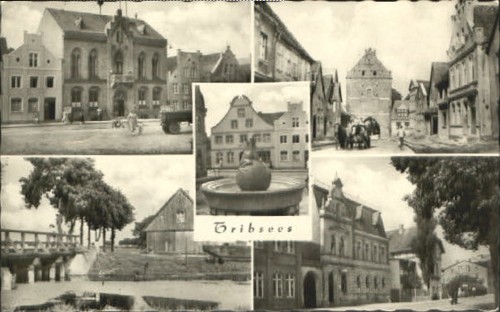 Tribsees 1960 - x,
