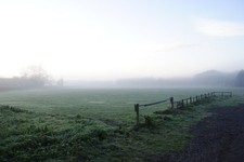 Foto A2 Abbey Lane Nebel