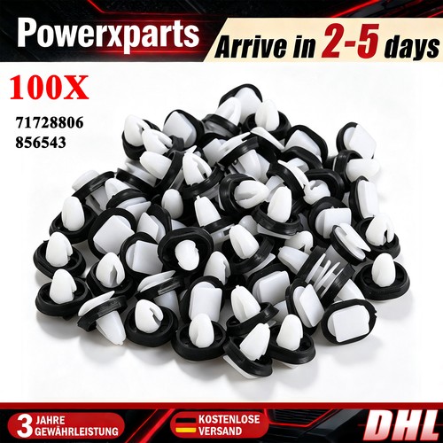 100x für fiat - für, peugeot