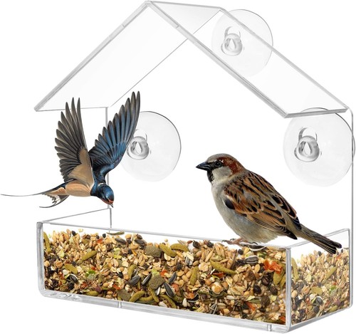 Transparent fenster futterhaus - fenster,