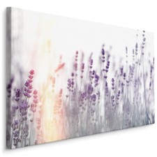 CANVAS Leinwand Bilder XXL