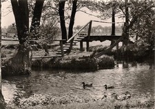 AK Fischerhude bei Bremen - Am Dietrich Speckmann Weg s/w  - Brücke Bach Enten