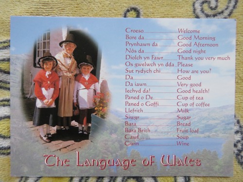 Vintage 1990s the - vintage, of