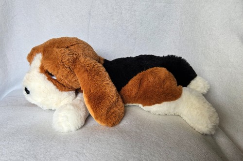 Süßer sunkid hund basset - hund,