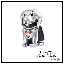 Charm hund treue - hund, pfoten