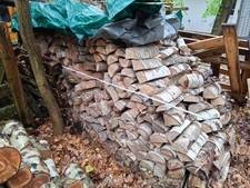 Kaminholz Birke, trocken und frisch