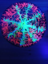 Pioneer DJM 600 DJM 700 DJM 750 , Technics Plattenspieler , Vinyl