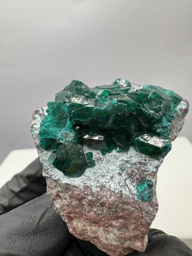 Tiefgrün top dioptas - top, rare