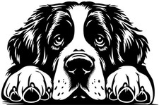 BERNHARDINER Aufkleber -