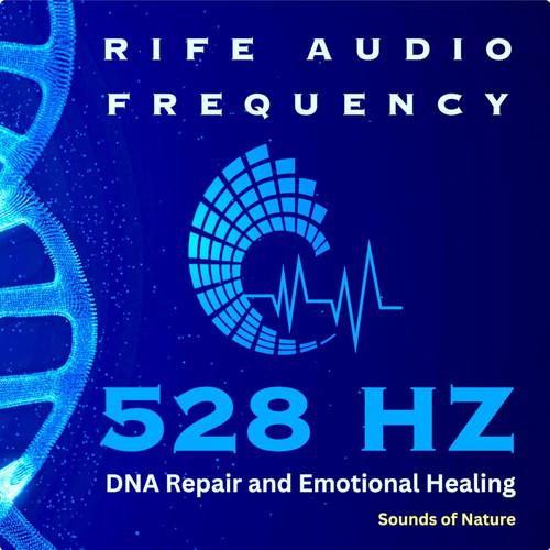 528 dna repair and - 528,