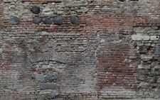 Digitaldruck Alte Steinwand Ziegelsteine  4701-23 / 4,00mx2,50m / EUR 23,00/qm