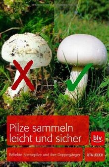 Pilze sammeln leicht und