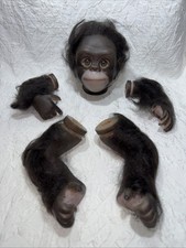 Rare NOS Bountiful Baby 17”