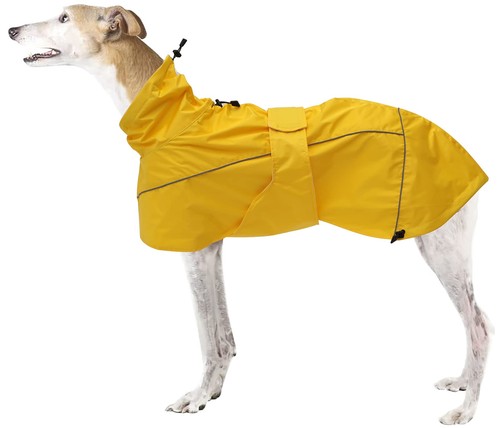 Greyhound regenmantel - greyhound,