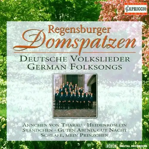 Regensburger domspatzen - regensburger,