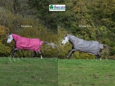 Bucas freedom turnout - turnout, light