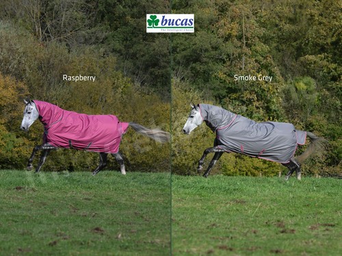 Bucas freedom turnout - freedom,