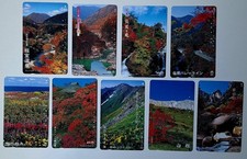9 x schöne Natur Pflanzen
