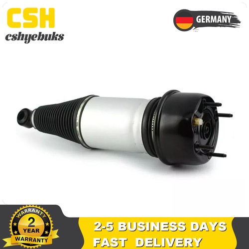 Stoßdämpfer hinten links - hinten,
