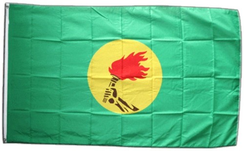 Fahne zaire flagge hissflagge - fahne,