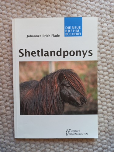 Shetlandponys pferde ponys - shetlandponys,