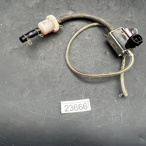 ölpumpe pumpe peugeot - Ölpumpe,