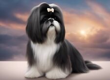 Shih Tzu Auto Aufkleber Hunde