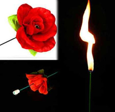 PROFI Zaubertrick Rose aus