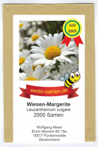 Magerwiesen margerite - magerwiesen-margerite,