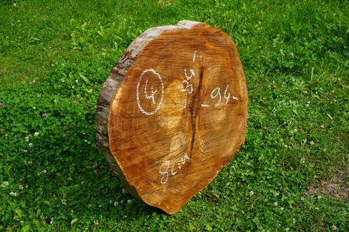 Baumscheibe xxl holzscheibe - baumscheibe,