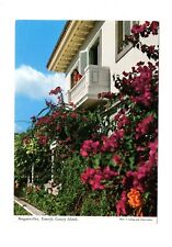 Ansichtskarte Teneriffa / Bougainvillea / Spanien