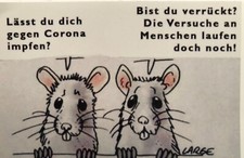 4 Aufkleber Braun schwarz Gelb Grün rot tot Play mobil AFD Blau 185 R14 R15 R16