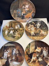 Bradex Seltmann Weiden