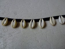 Kauri Muscheln 7 Stk. auf schwarzem Samtband , Upcycling, zum Aufnähen, Basteln