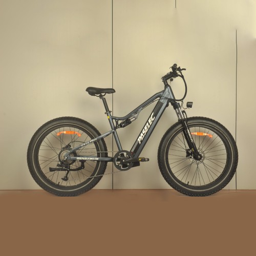 Tx19 plus 1000w elektrofahrrad - plus,