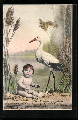 Klapperstorch mit kleinkind - klapperstorch,
