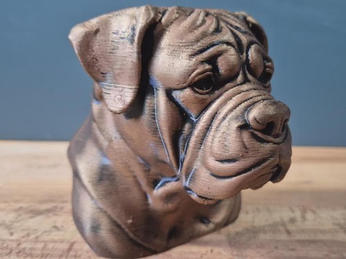 Bullmastiff büste realistic - bullmastiff,
