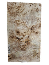 1x Maserpappel Bohle Brett