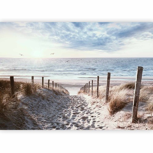 Vlies fototapete strand - vlies, meer