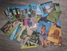 53 Postkarten Tiere Konvolut