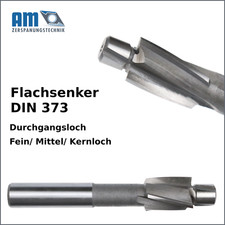 Flachsenker zapfensenker din - flachsenker,