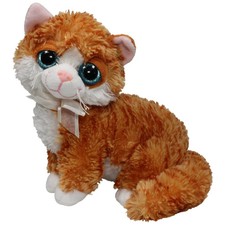 Orange-weiße Katze mit blauen