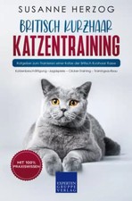 Britisch Kurzhaar Katzentraining: Ratgeber zum Trainieren einer Katze der Britis