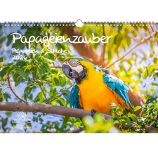 Papageienzauber Papageien und