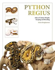 Python regius | Stefan