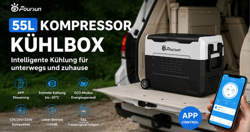 Foursun 55l kompressor - 55l,